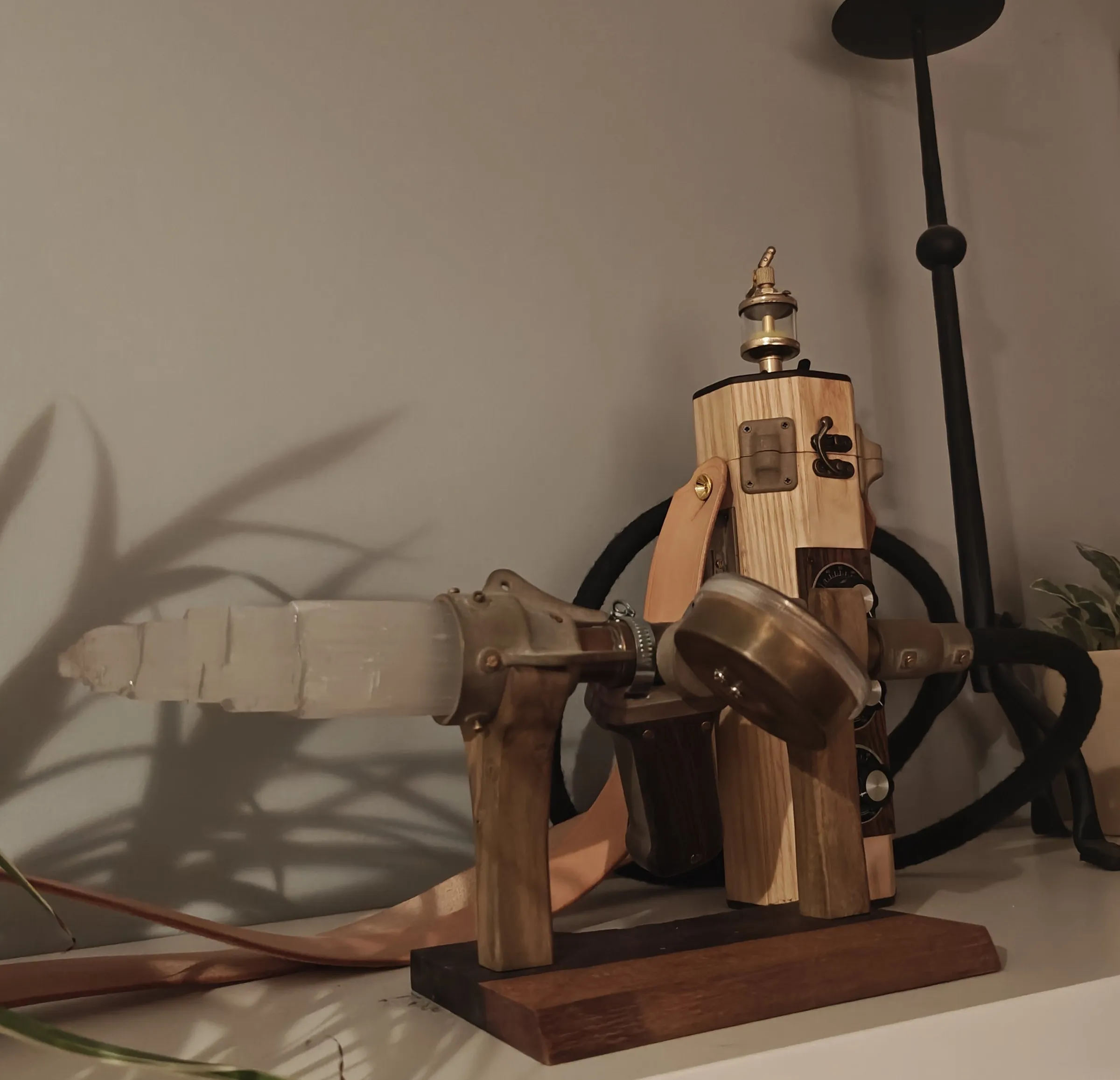 The detector in evening light with plant shadows on the wall